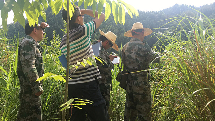 变形记最新一期资源深度解读与体验分享纪实标题，深度透视与感悟分享变形记最新篇章