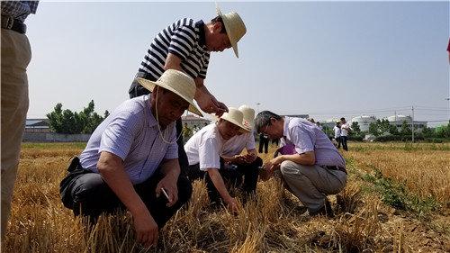 革新农业种植技术的先锋，最新气吸式播种机亮相