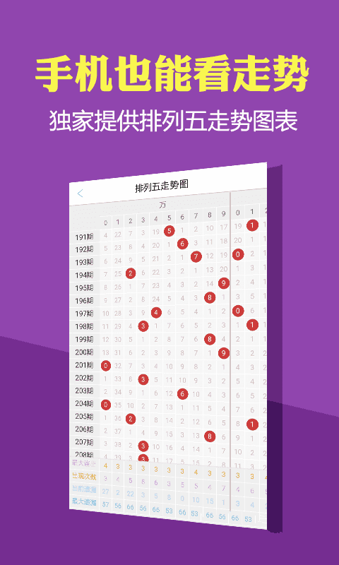 管家婆一码中一肖2024,先进解答解释落实_客户版40.158