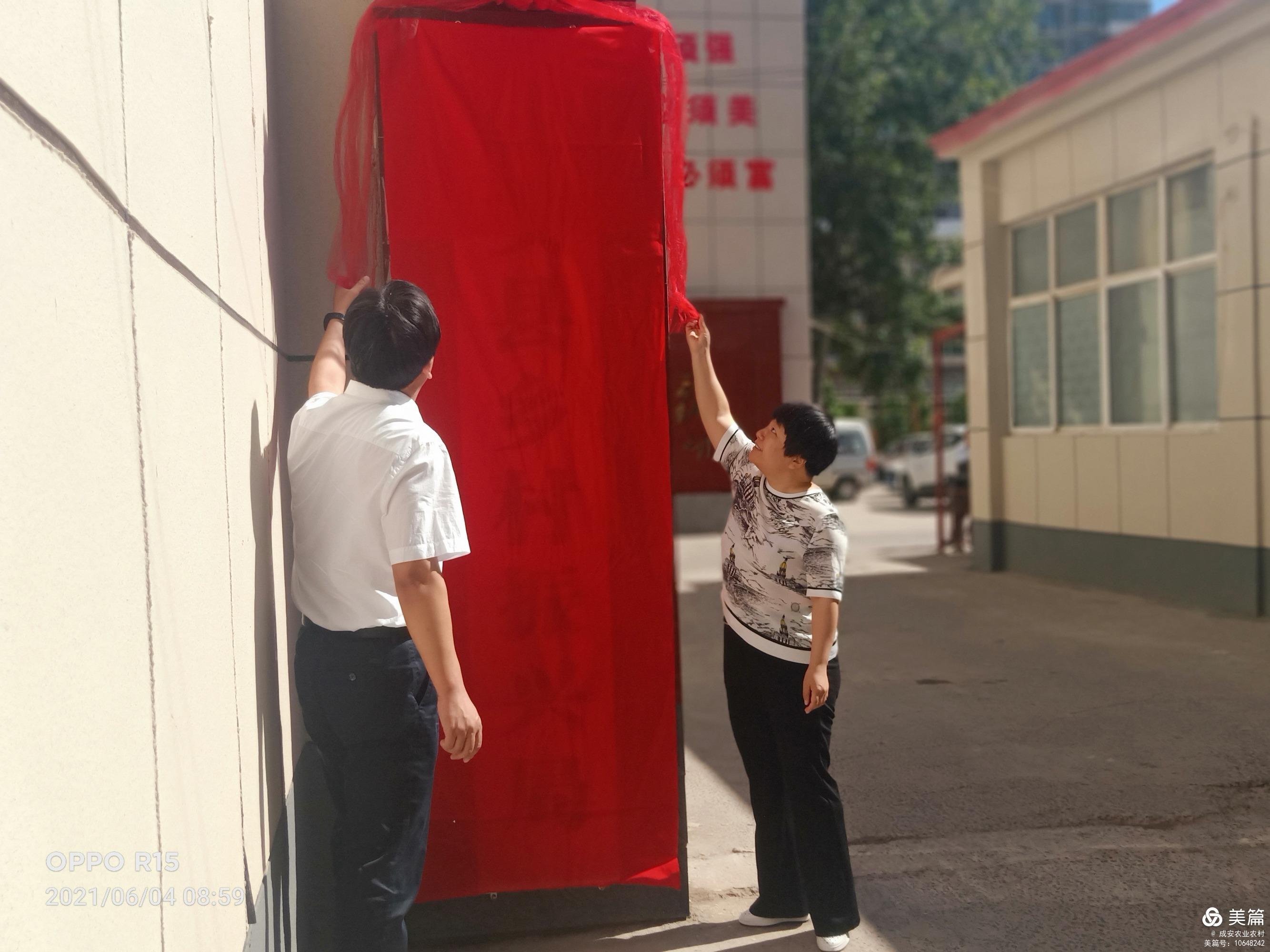 南部县口面出售最新消息，繁荣商机引领市场新风潮