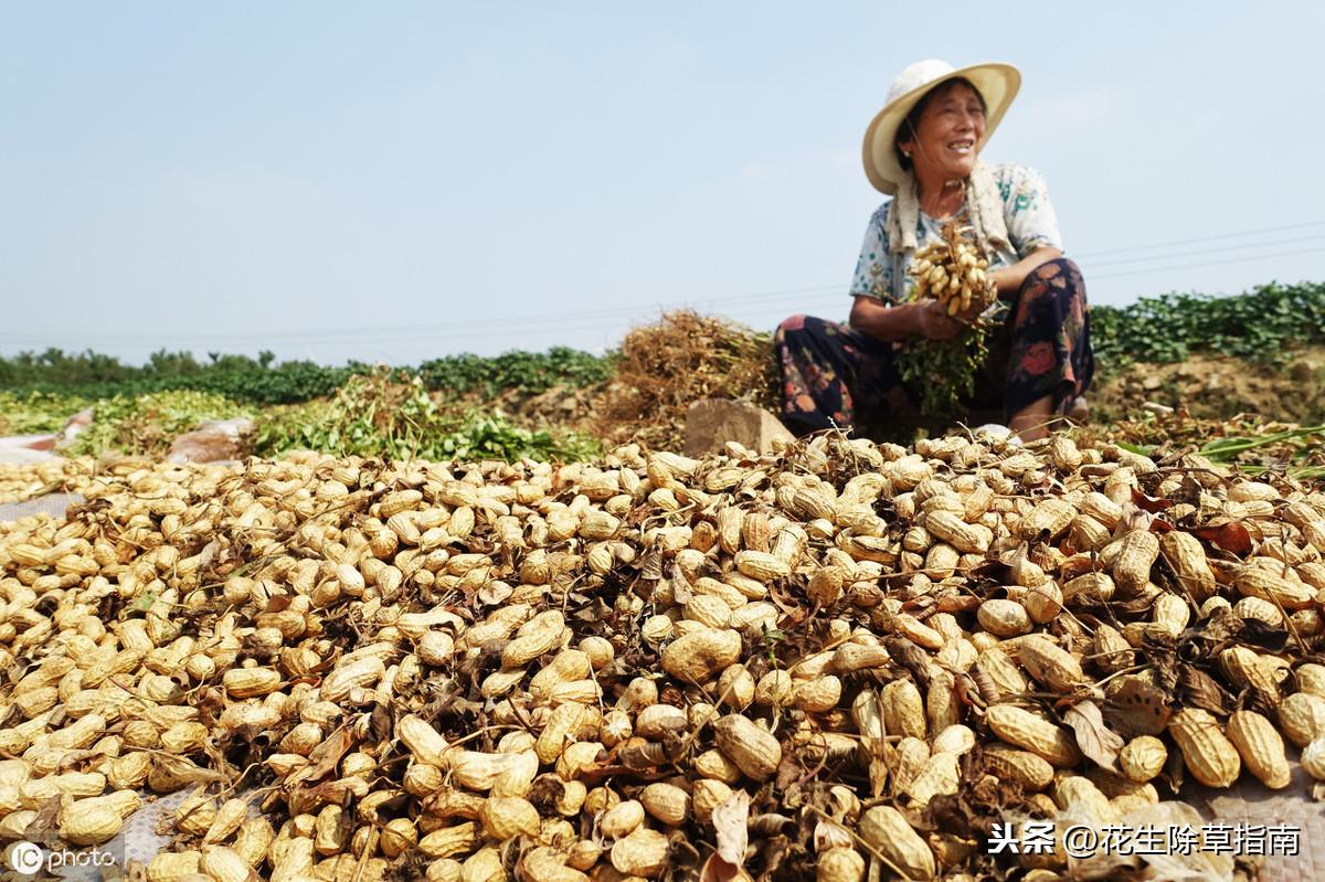 邹城万德广场最新动态揭晓