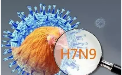 H7N9禽流感最新疫情深度解析与防控建议