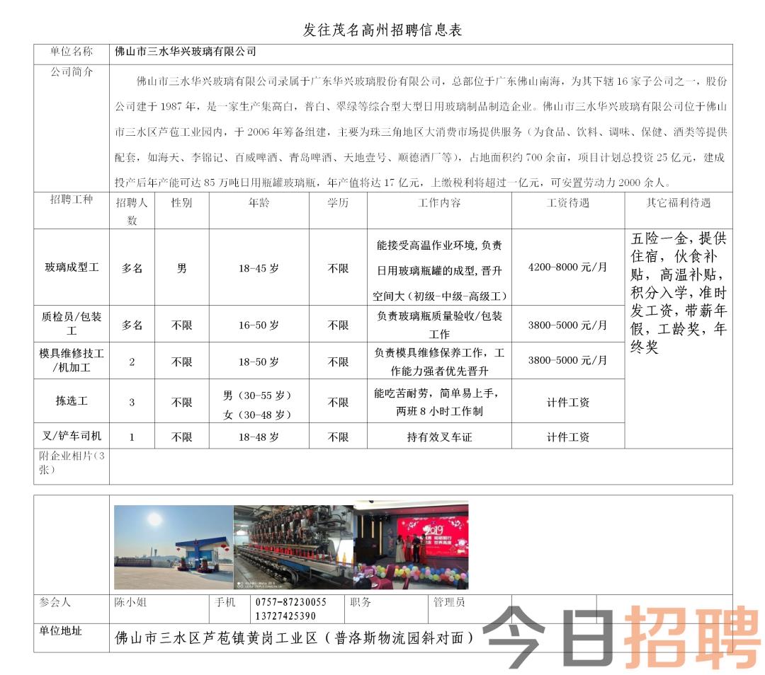 吴川市最新招聘动态及其社会影响分析