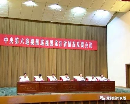 黑龙江巡视组最新消息深度解读与剖析