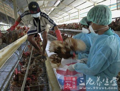 北京H7N9禽流感最新消息全面解读