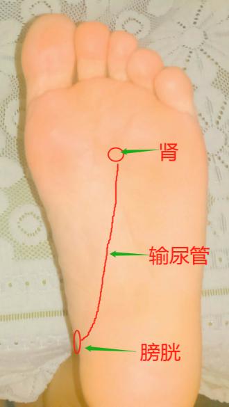 耳鸣最新疗法，探索与突破的成果分享