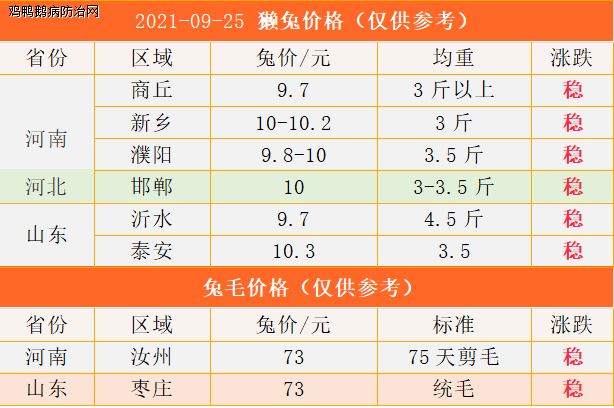 獭兔最新价格及市场动态深度解析