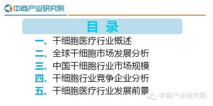 中国干细胞最新动态，前沿进展、未来展望与趋势预测