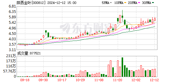 陕西金叶股票最新消息深度解读与分析