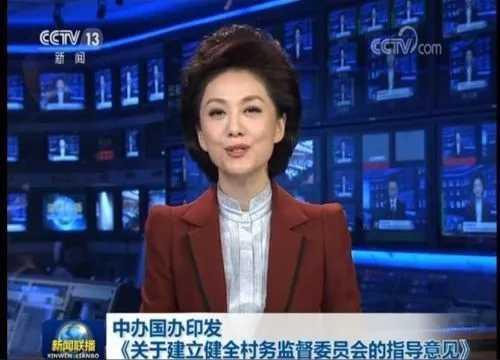 深化反腐斗争，拍村官苍蝇最新动态，净化基层政治生态