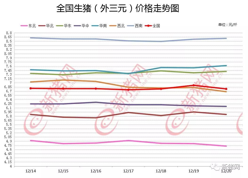 最新猪价行情分析与预测报告